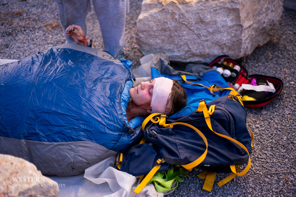 Wilderness First Responder/Wilderness Emergency Medical Technician (WFR/WEMT). RE-CERTIFICATION